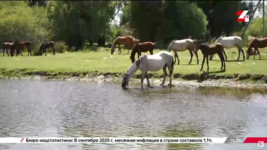 Жамбыл облысында су сапасы мен тапшылығы мәселесі қалай шешілмек?