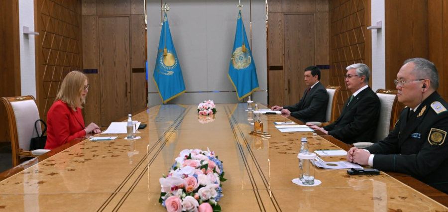 Президент принял Председателя Группы подразделений финансовых разведок «Эгмонт»