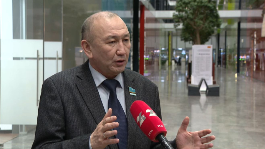 Сарапшы конституциялық реформа бойынша пікір білдірді