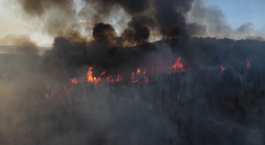 Бурятияда 37 мың гектар орман алқабы отқа оранды