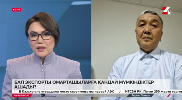 Бал экспорты омарташыларға қандай мүмкіндік ашады? Ғабит Нұрәділ
