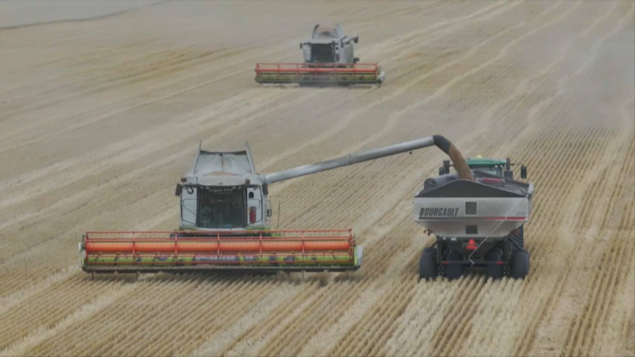 БҚО-да егін орағы науқаны басталды