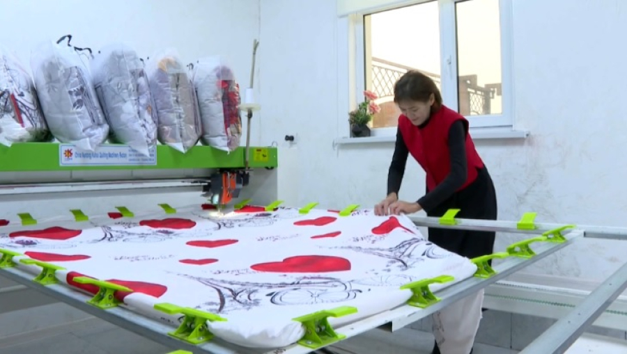 «Ауыл аманаты»: 782 проекта реализовали в Кызылординской области