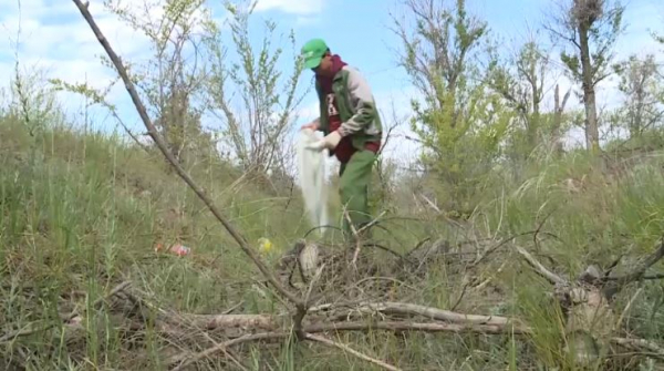 Более 500 актюбинцев очистили территорию пригородных лесных массивов