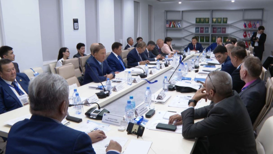 Ғалымдар қолданыстағы заңдарда кездесетін қайшылықтарды жоюды ұсынды