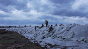 Су тасқыны: 34 мыңнан астам маман тәулік бойы жұмыс істеп жатыр