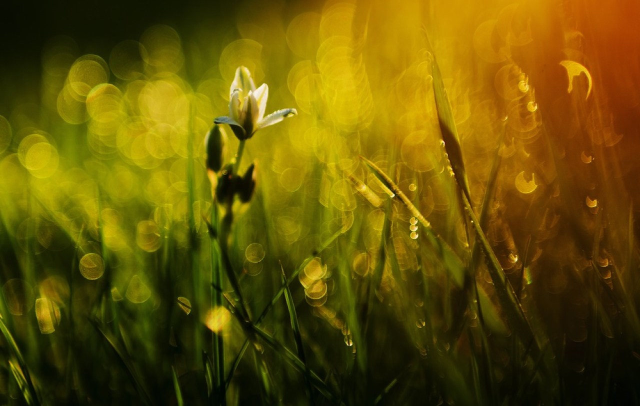 Какую погоду обещают синоптики в Казахстане