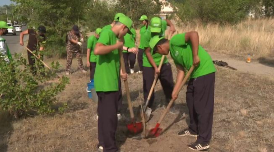 Более 6 тысяч саженцев высадили в области Абай