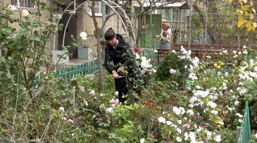 Таза Қазақстан: лучший двор выберут в Мангистауской области