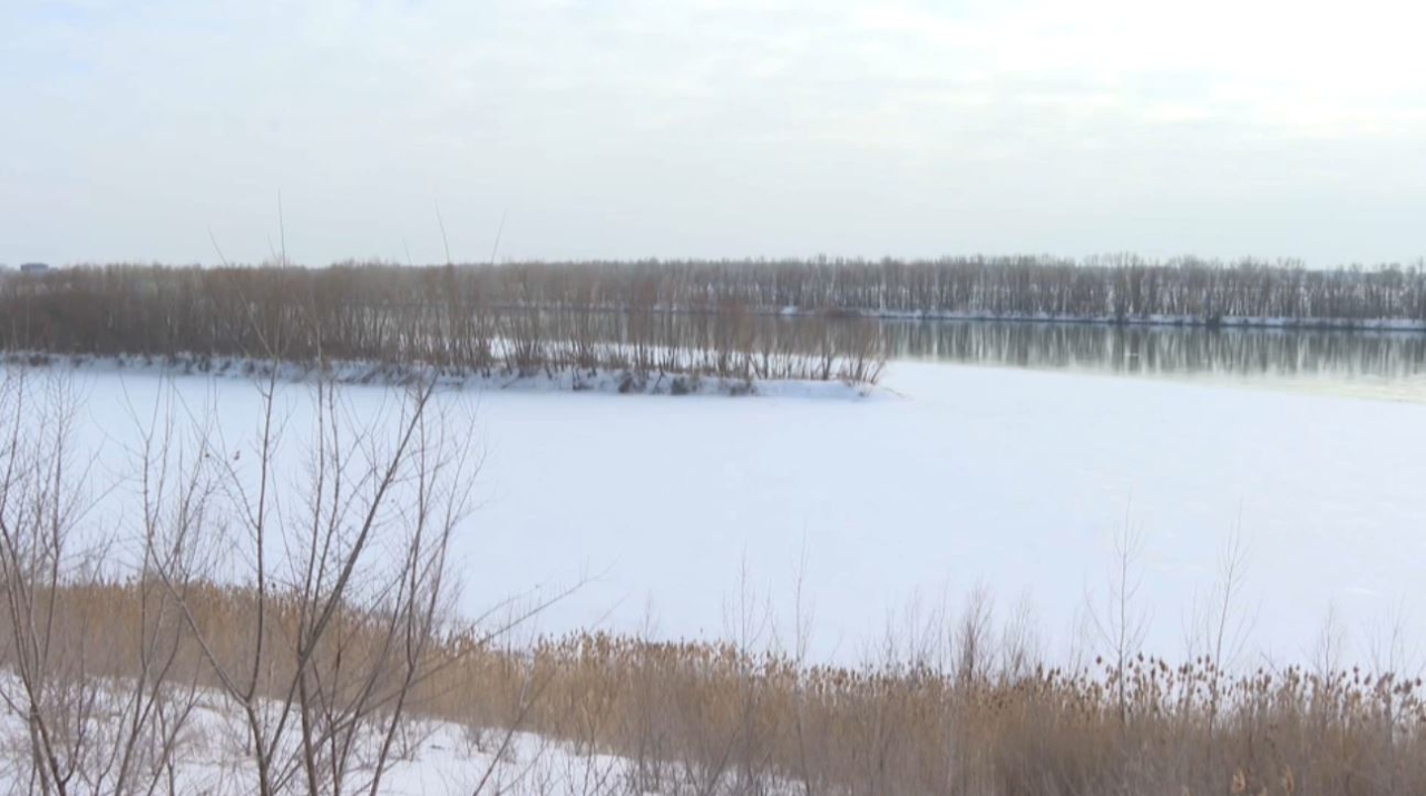 Экологи проверяют состояние реки Иртыш