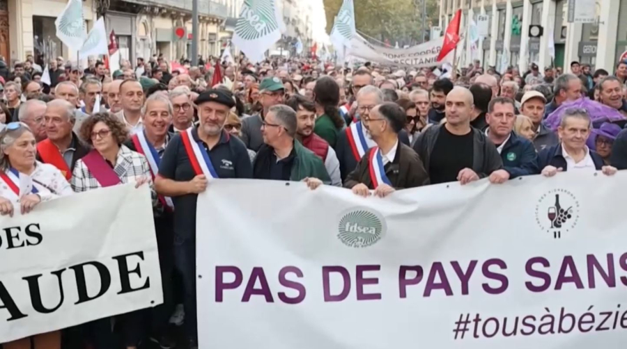 Виноделы Франции вышли на протест