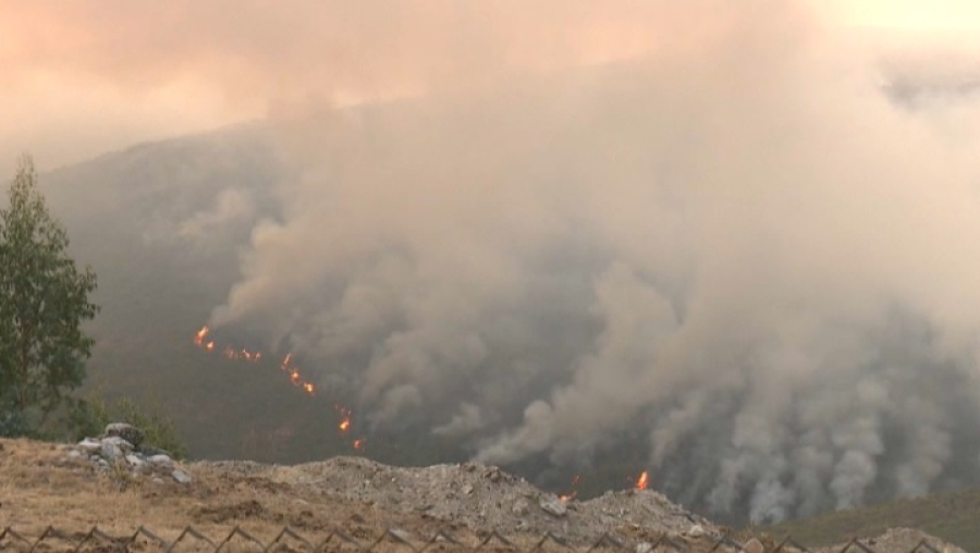 48 человек задержали по подозрению в поджогах лесов в Испании