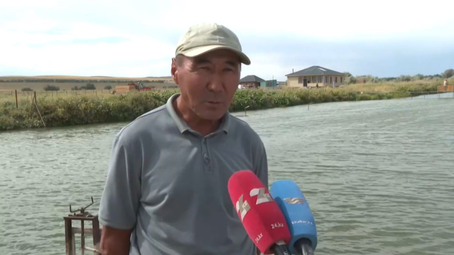 Абай облысында балық шаруашылығына бет бұрғандар көбейді