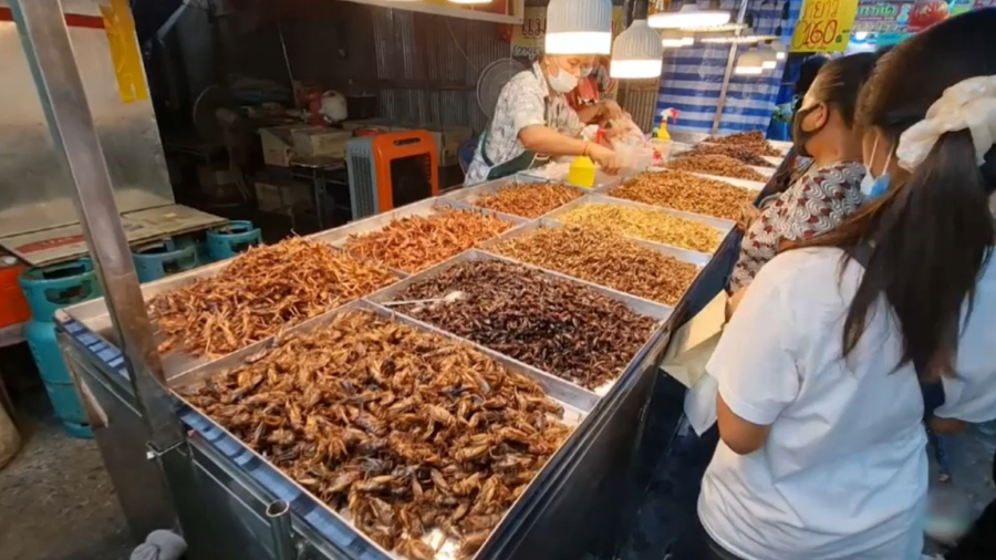 Африкада шегіртке аулау – кәсіп көзі