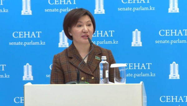 Меры по профилактике ранней беременности обсудили в Сенате