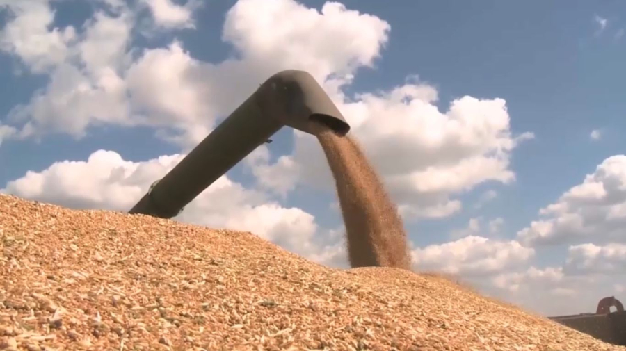 Ақмола облысында егін орағы аяқталды