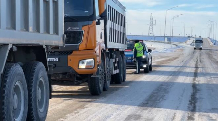 Машины с подложными номерами выявляют в Казахстане