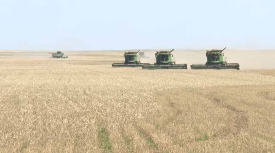 Льготные кредиты получили 910 фермеров