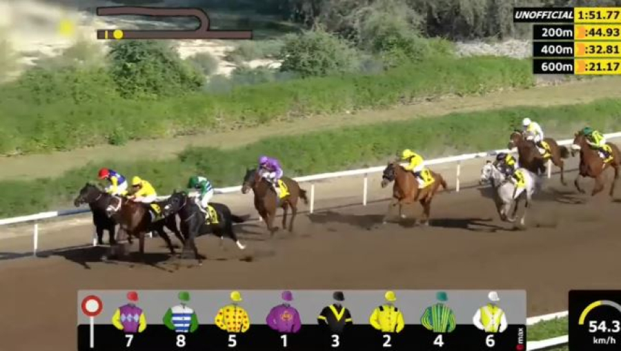 Казахстанский скакун победил в Дубае