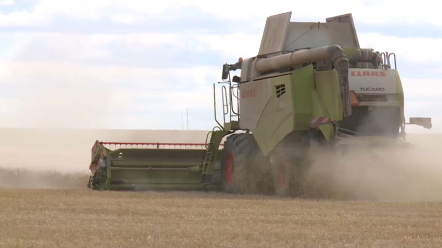 85% запланированного урожая собрали в Карагандинской области