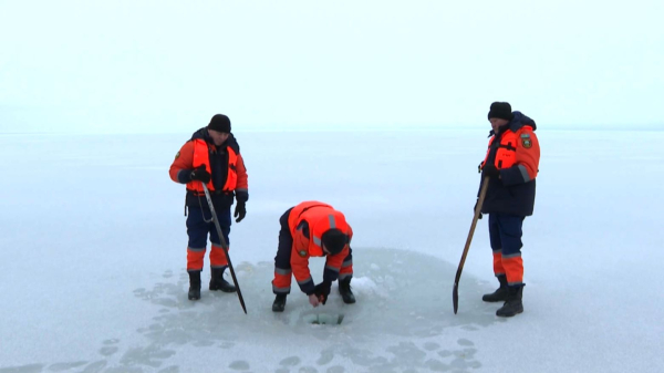 Аралда мұз қатқан жоқ