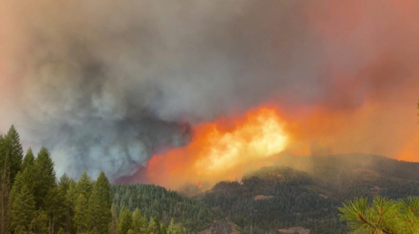 АҚШ-та ормандар өртінен 4000 адам эвакуацияланды