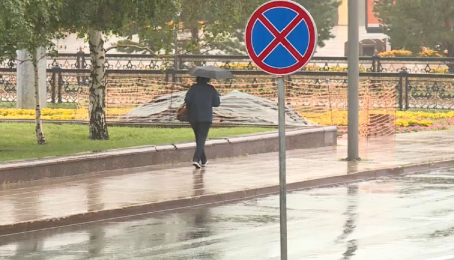 Дожди прогнозируют в девяти городах Казахстана