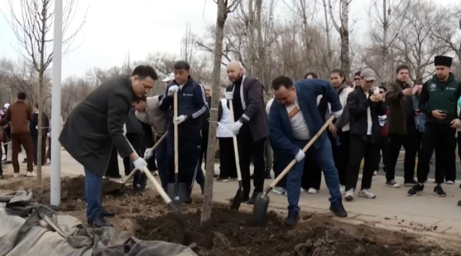 «AMANAT» партиясы ауқымды экологиялық акция ұйымдастырды