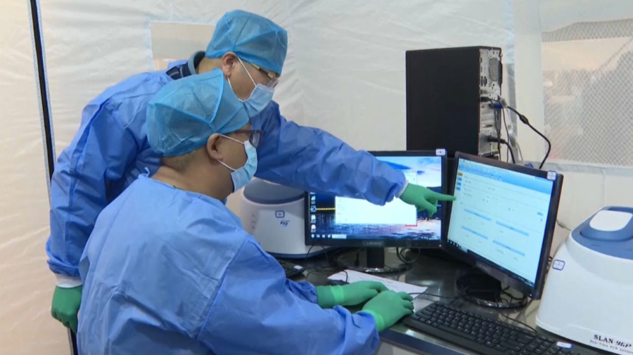 Вирус чикунгунья: есть ли риск для Казахстана