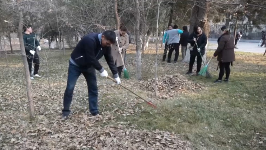 В Шымкенте организовали субботник в парке имени Абая