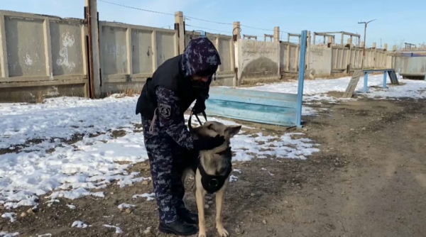 Полицейлердің сенімді серігі
