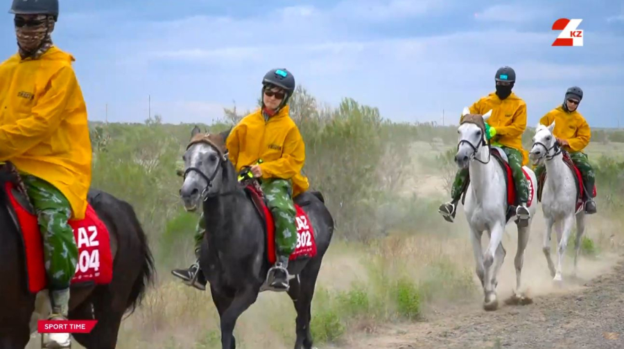 Ұлы дала жорығы: аттарды бәйгеге қалай іріктейді?