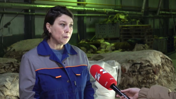 В Уральске простаивают два предприятия по переработке шкур