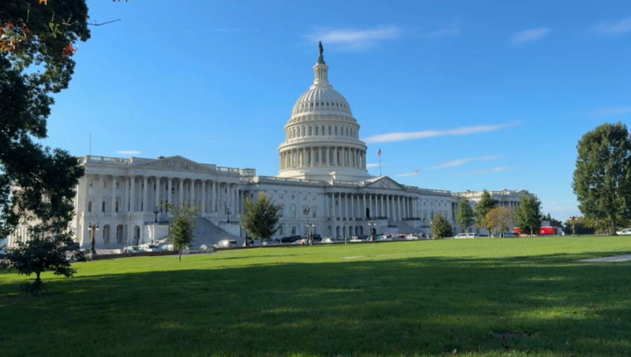 Қазақстанның ЖИ саласында әлеуеті зор