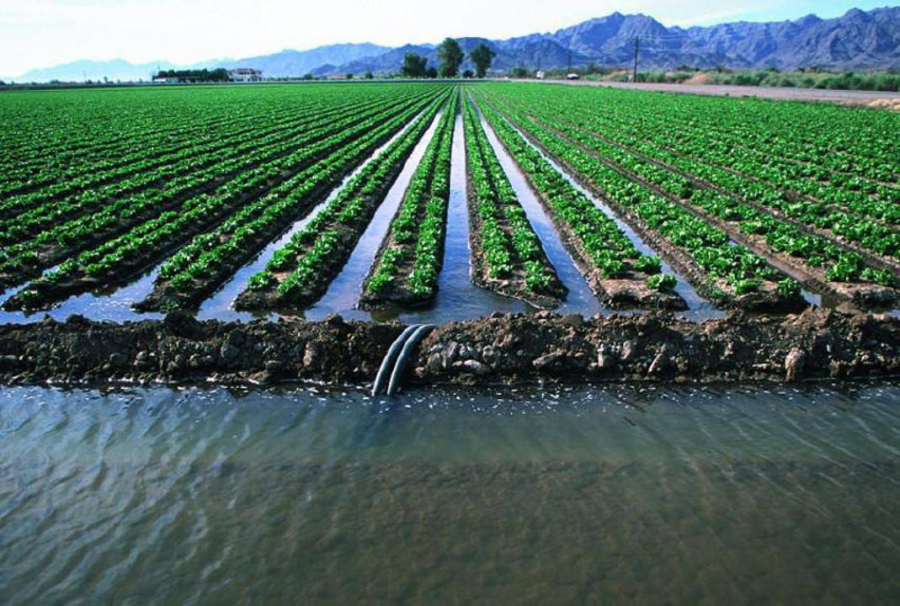В Казахстане для сельского хозяйства использовано более 8 млрд кубометров воды