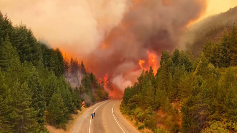 Аргентинада ірі орман өрті тіркелді