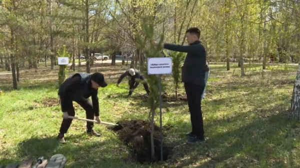 Аллея журналистов появилась в Кокшетау