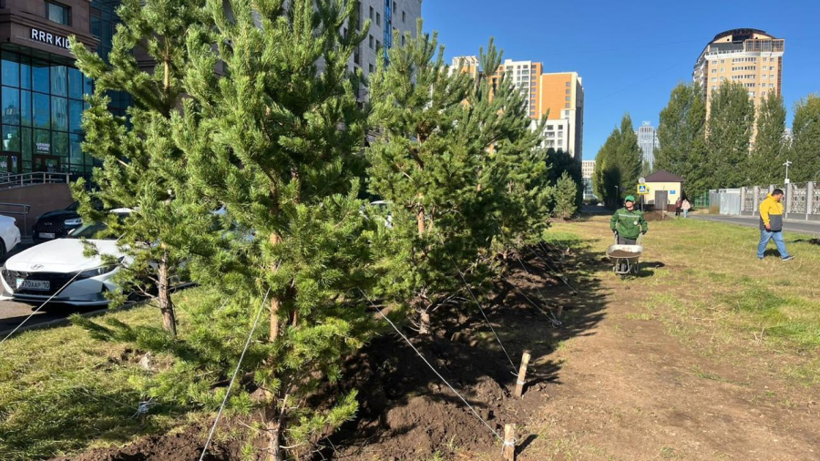 Масштабный экологический месячник начался в Астане