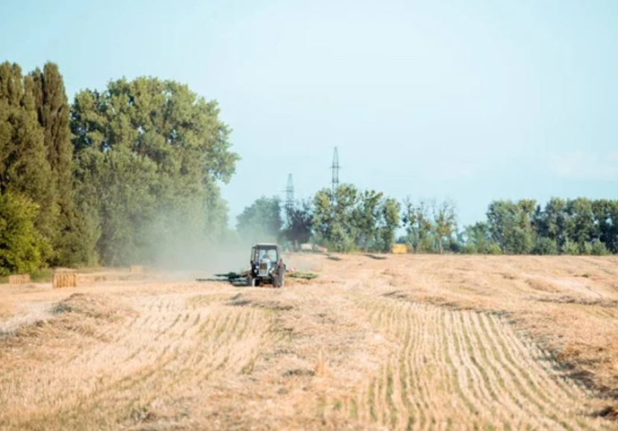 Незаконная добыча песка в Семее привела к ущербу на 272 млн тенге