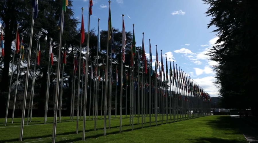 12 декабря – Международный день нейтралитета