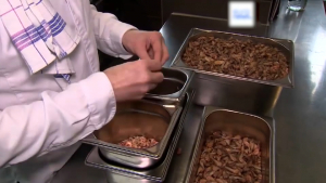 По €100 за 1 кг: в Бельгии взлетели цены на креветки