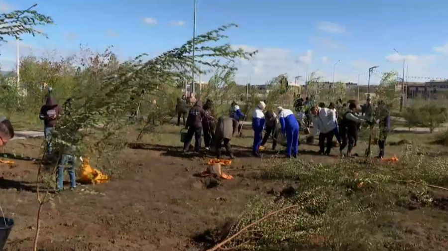 Қарағанды облысында еріктілер 200 ағаш екті