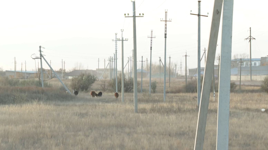 Биыл елде сегіз жылда алғаш рет қыс қарсыз басталды