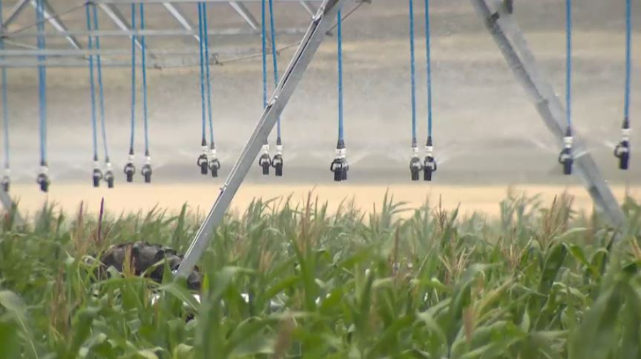 10 проектов по водоснабжению завершат до конца года