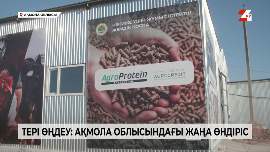 Ақмола облысында тері өңдейтін жаңа зауыт ашылды