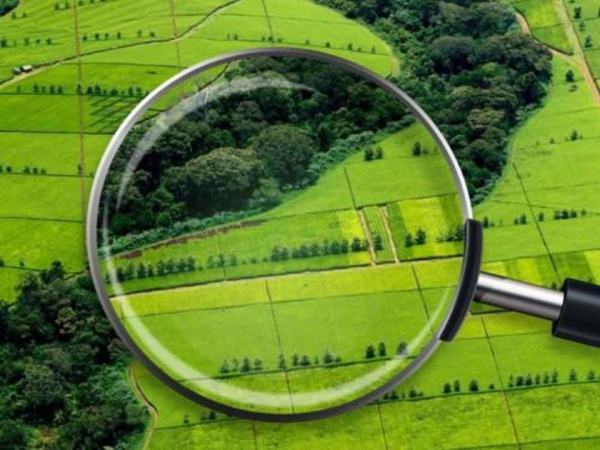 Ұлытау облысында 90 000 га жайылым жер қайтарылды