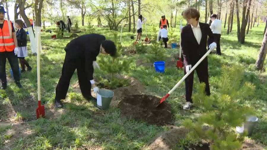 Павлодарда бес мың түлек ағаш екті