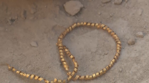 Түркістан облысында 2000 жыл бұрынғы алтын сырға табылды. Эксклюзив