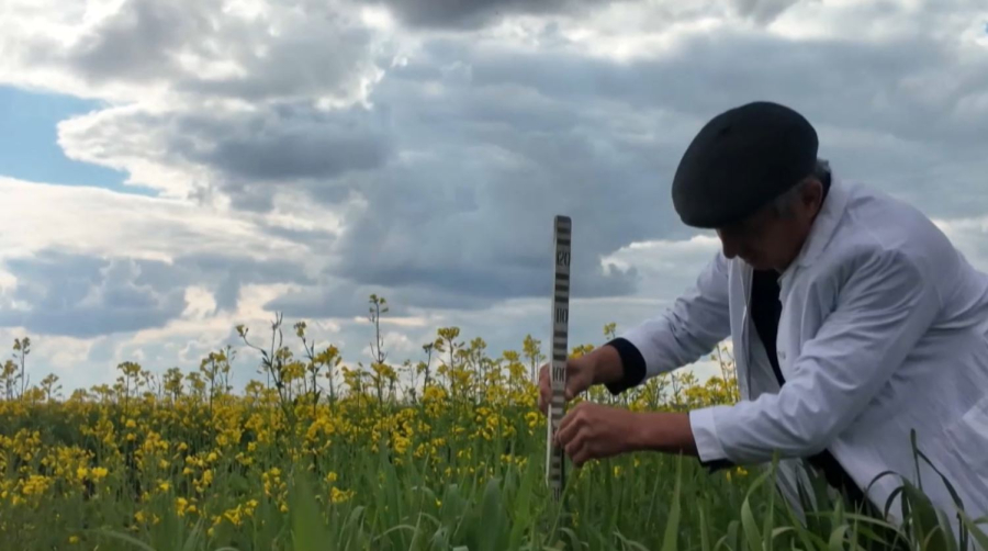 СҚО-да ғалымдар мал азығын дайындаудың тың тәсілін ұсынды