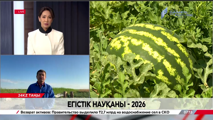 Егіс науқаны – 2026. Мұхтар Шохаев